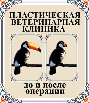   - 23  2019  15:17
