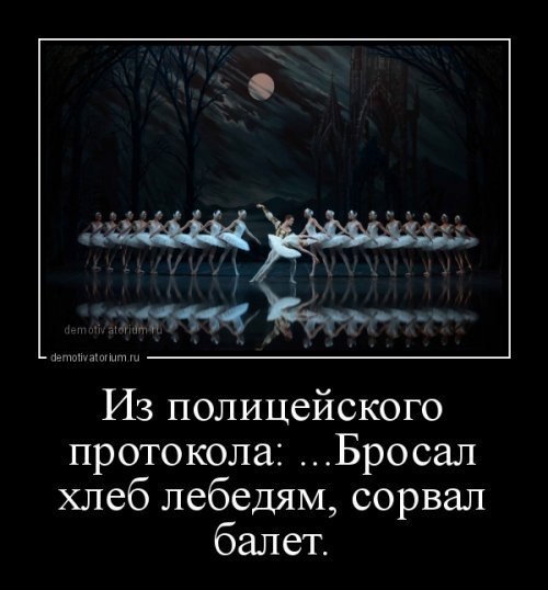      ... -      .