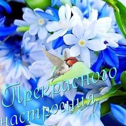 �������, �����������, 50 ���