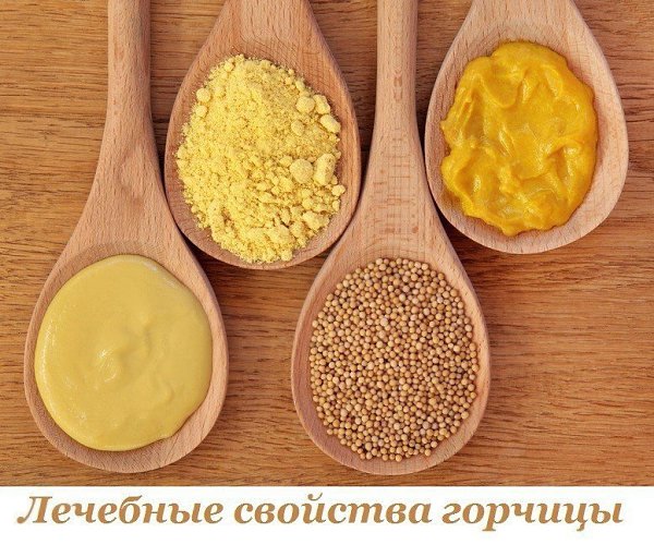 ЛЕЧЕБНЫЕ СВОЙСТВА ГОРЧИЦЫ.Горчица широко используется в народной медицине. И не только для того, что ...