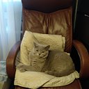  C , -, 46  -  23  2019    