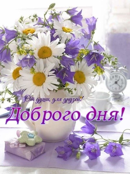   ,    . - 25  2019  13:57