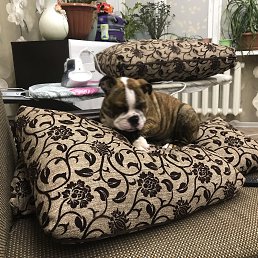 ���� Valeriy, �������, 40 ��� - ��������� 28 ���� 2019