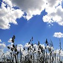 ���� �����, �����, 55 ��� - ��������� 2 ���� 2019 � ������ ������ ��������