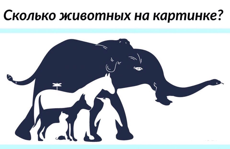 Какое животное изображено на картинке Интересная планета - сообщество путешественников опубликовал пост от 6 мая 2019 