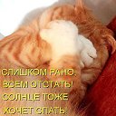  ,  -  8  2019    