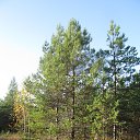 � ������� �� ������ � ������� 2019 �. �� ������� ������