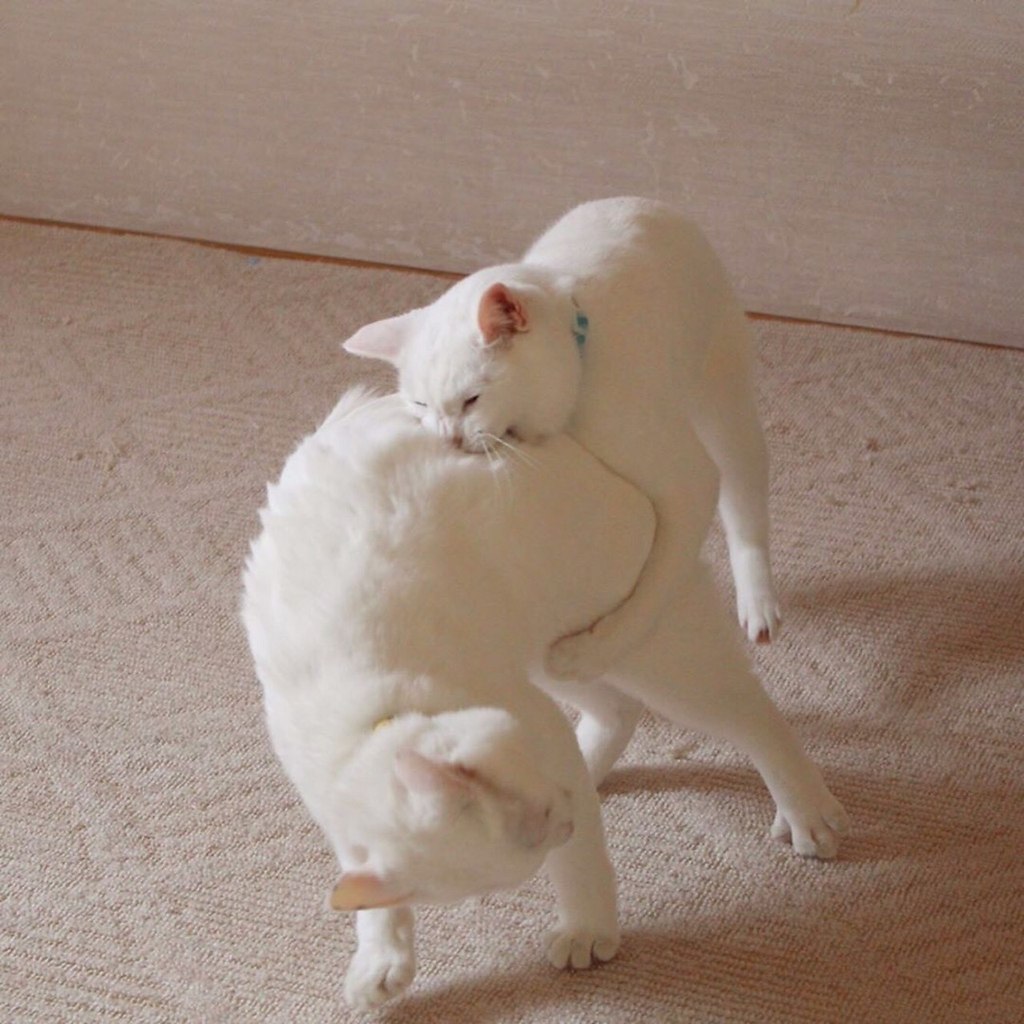  ,   ,    