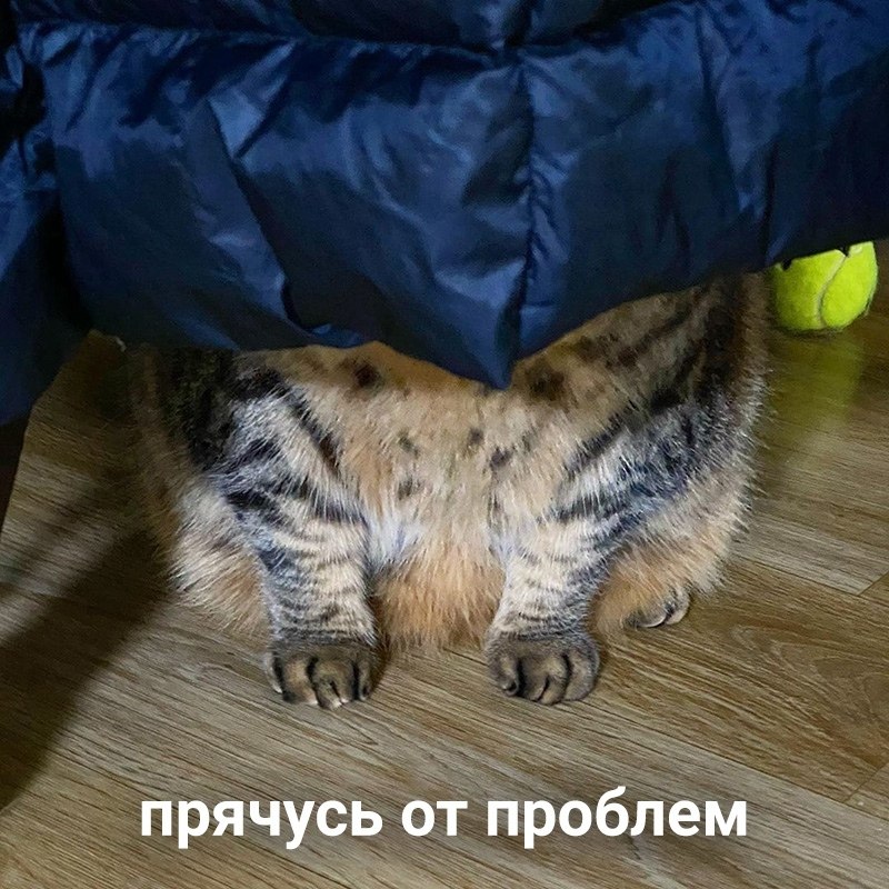    - 2