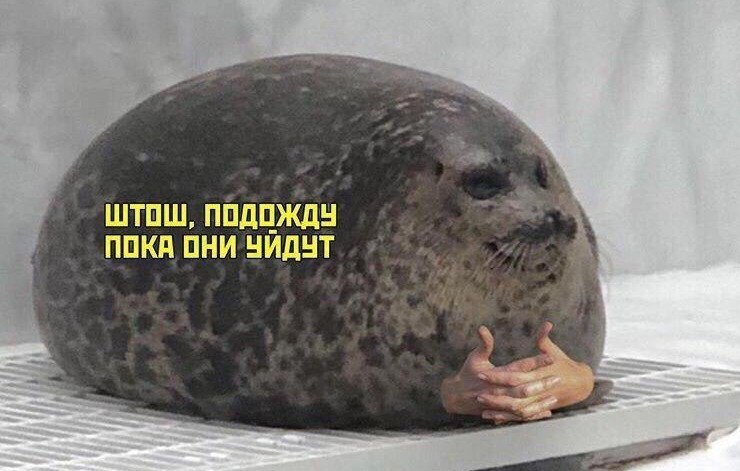   ,   ,    