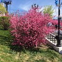 ���� ����, ���������, 51 ��� - ��������� 1 ���� 2019 � ������ ���� ����������