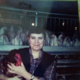 ���� �����, ����, 52 ���� - ��������� 22 ��� 2019