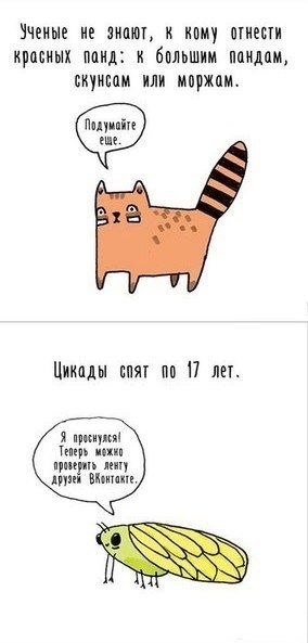    ... - 8