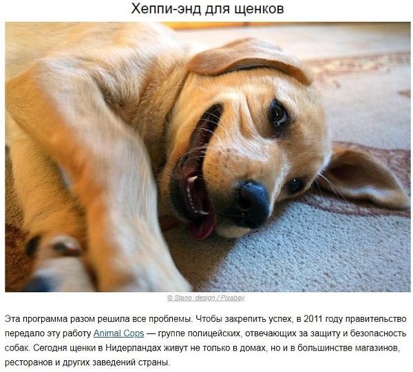  -     - 6