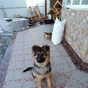 ���� Farruh, ����������, 52 ���� - ��������� 4 ���� 2019