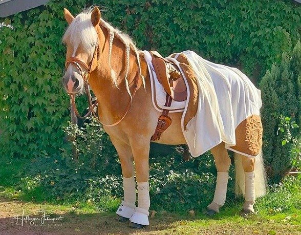  -   ! - 14  2019  03:31