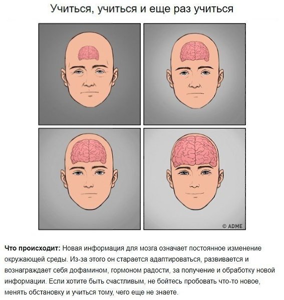 Как чувствовать себя счастливыми? Рекомендации от нейробиолога. #здоровье@thelady - 4