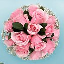 ���� �������, �����������, 50 ��� - ��������� 8 ������ 2019 � ������ ������