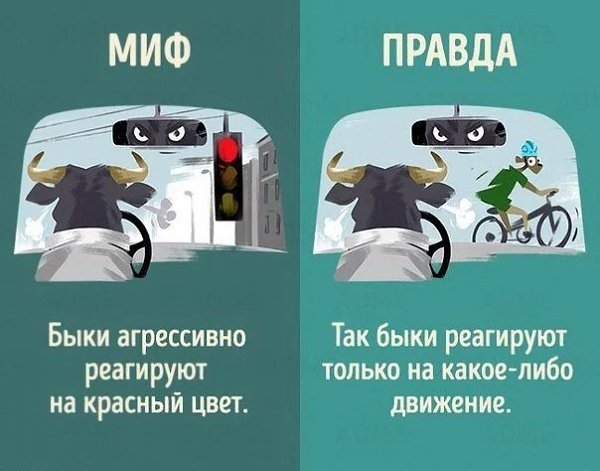 Подборка 10-ти мифов о животных. Все мы верили в это с детства, но в один миг мы узнаем что это всё ... - 2