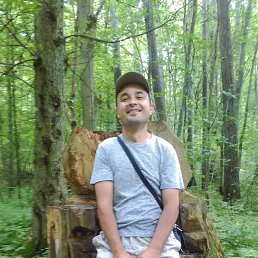 ����, �����������, 46 ���