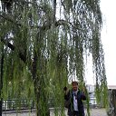 ���� ������, ��� - ��������� 12 ������ 2019 � ������ ���� ����������