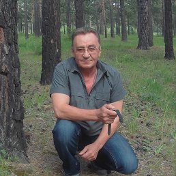 ��������, ���������, 61 ���