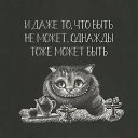 ���� �������, �������, 51 ��� - ��������� 15 �������� 2019 � ������ ������ ��������