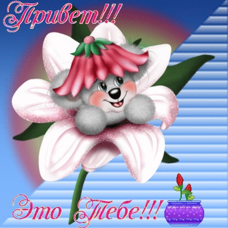   ,    . - 5  2019  15:41