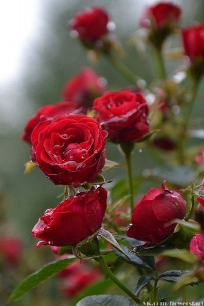   ,    . - 31  2019  21:02 - 2