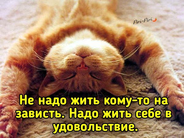   - 1  2020  10:00