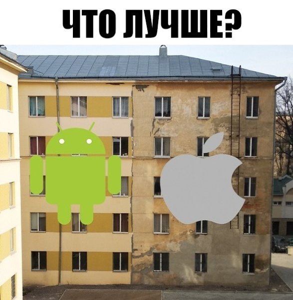    :D - 5  2019  03:41