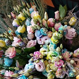 �������, �����