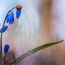 ���� �����, �������, 37 ��� - ��������� 6 ������ 2019 � ������ ���� ����������