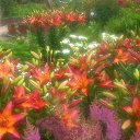 ���� �������, ������, 68 ��� - ��������� 17 ���� 2019 � ������ �2019�