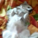 ������� ���� ��� ��� �� ������� ���� ����������