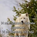 ���� �����, ����� - ��������� 31 ���� 2019 � ������ ���� ����������