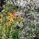 ���� �����, ������ ���, 71 ��� - ��������� 3 ��� 2019