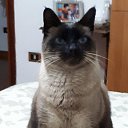  Saturn,  -  21  2019    