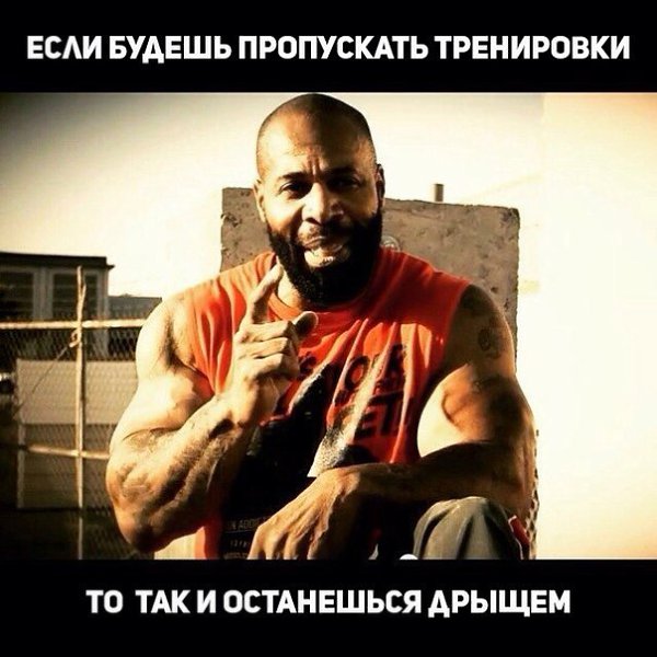 SportFeed - 9  2019  03:48