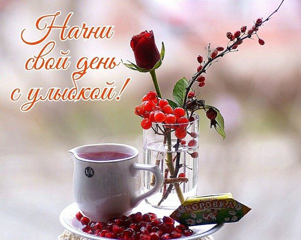   ,    . - 12  2019  16:37