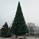 ���� ���������, ������ - ��������� 14 ������� 2019 � ������ ���� ����������