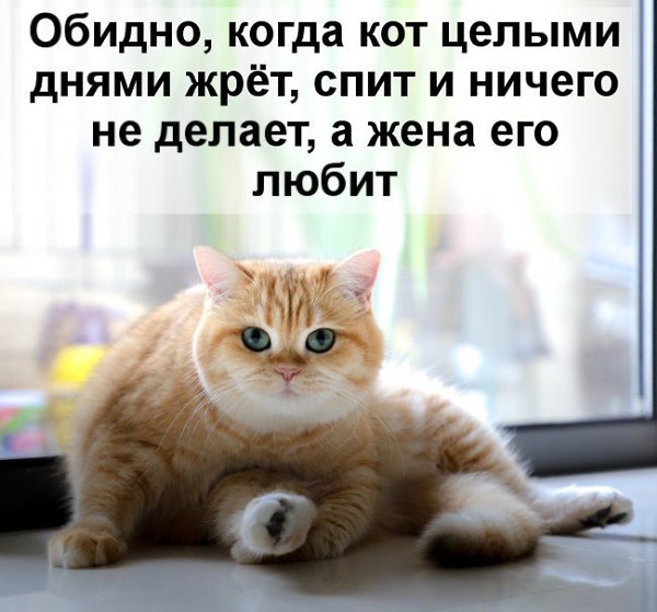   ! - 31  2019  13:48
