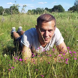 ������, �����, 54 ����