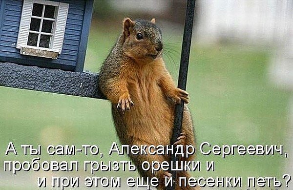 ***Victoria Viktorovna*** - 21  2019  05:01