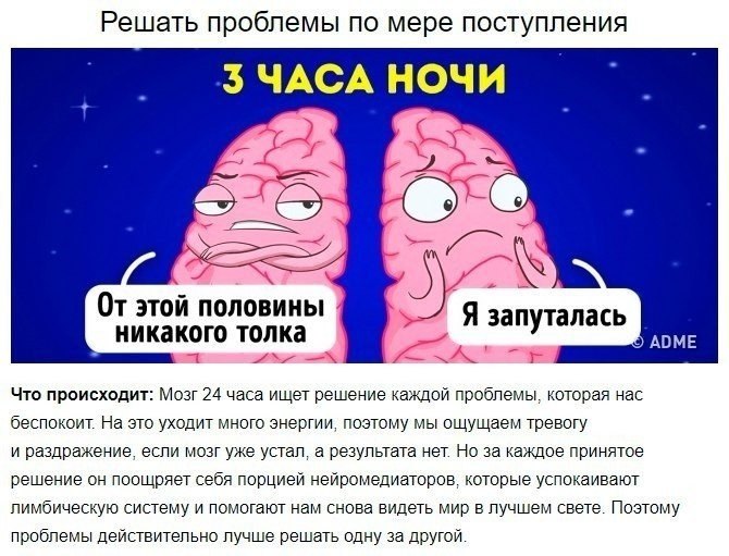    ?   . #@thelady - 5