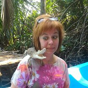 ������, 55 ���, �������