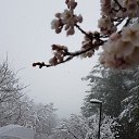 � �������� ������ � ����� �� ������? �� ������� ������, ������ 2019�