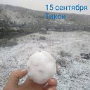 ���� ������, ������, 44 ���� - ��������� 26 ������ 2019 � ������ ���� ����������