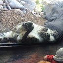 �������, ��� ������ �������� �� ����, ������� �� ������ ����������, �� ��� ������� �������� �� ������, ������� �� ������ ��������� �� ������� ��������