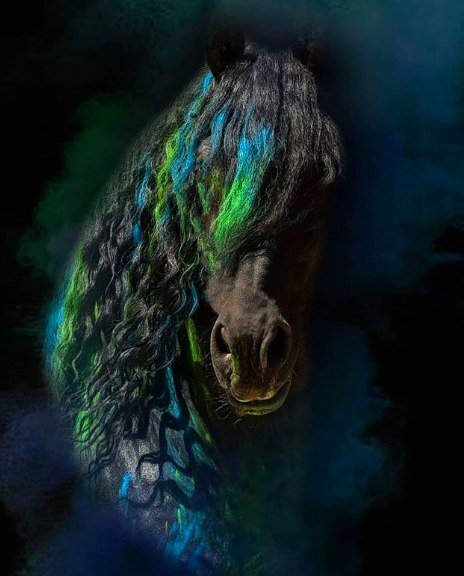  -   ! - 14  2019  03:31